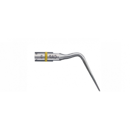 Insert endo success CAP3 - ACTEON