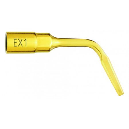Insert Extraction EX1