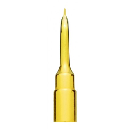 Insert Extraction EX1