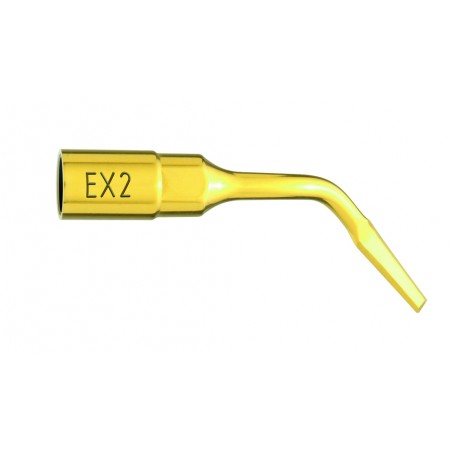 Insert Extraction EX2