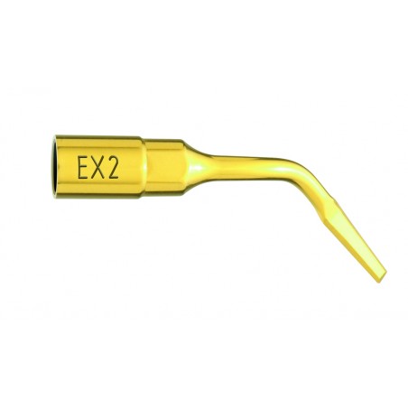 Insert Extraction EX2