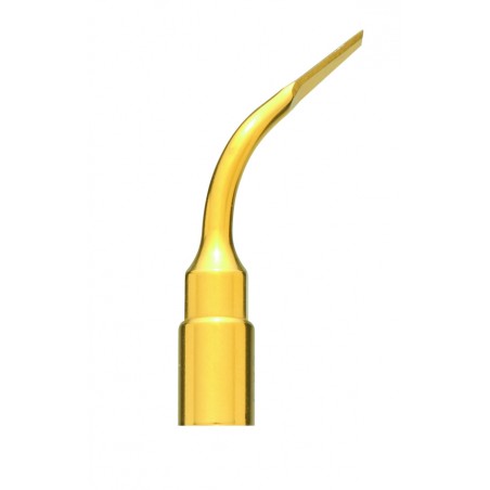 Insert Extraction EX3