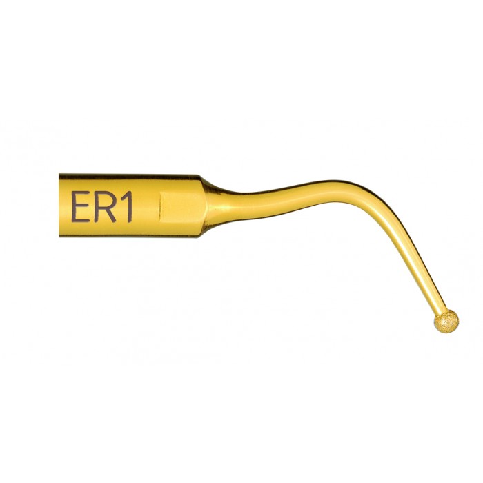 Insert Endo Revision ER1