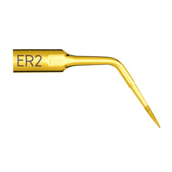 Insert Endo Revision ER2