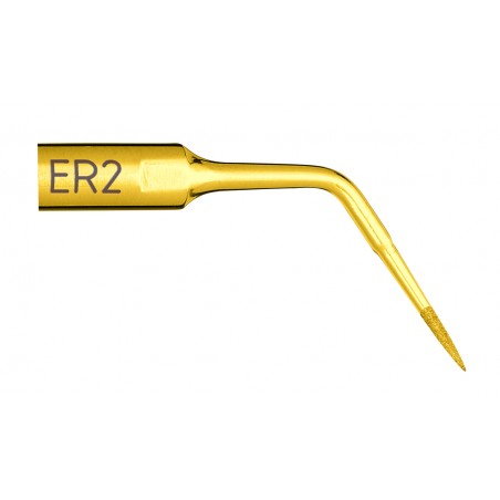 Insert Endo Revision ER2