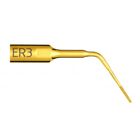 Insert Endo Revision ER3