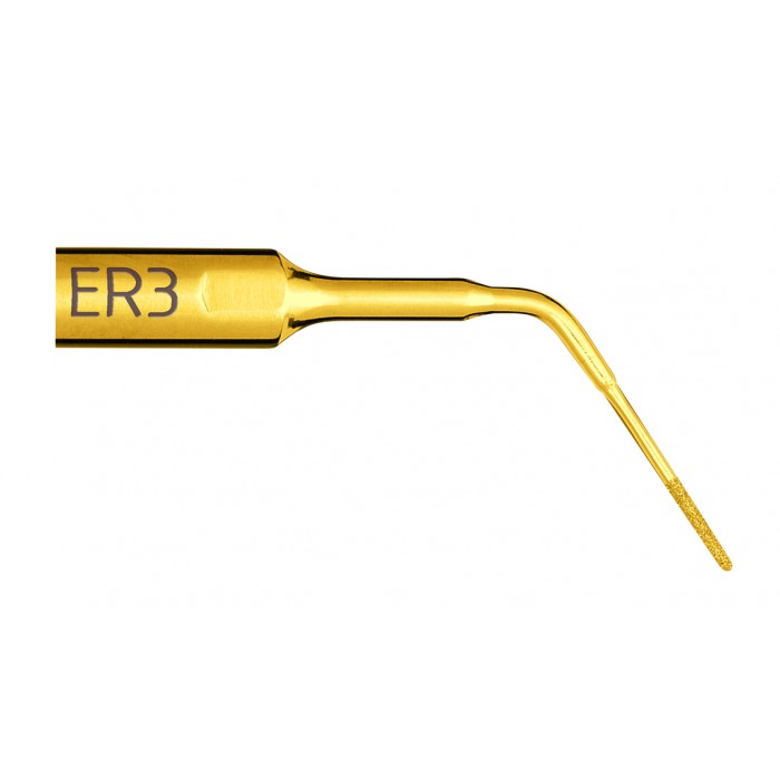 Insert Endo Revision ER3