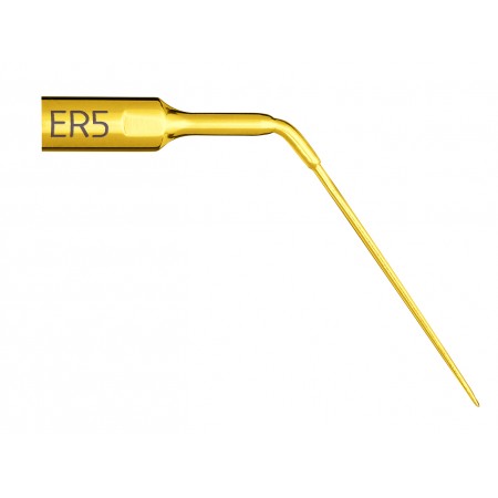 Insert Endo Revision ER5