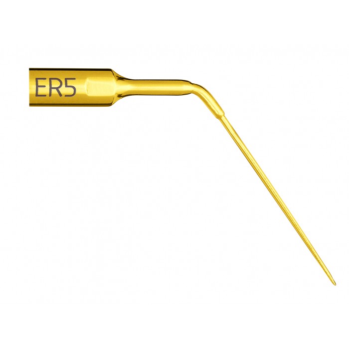 Insert Endo Revision ER5