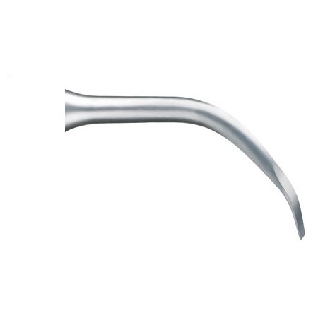Insert Crown Extension BS6 - ACTEON