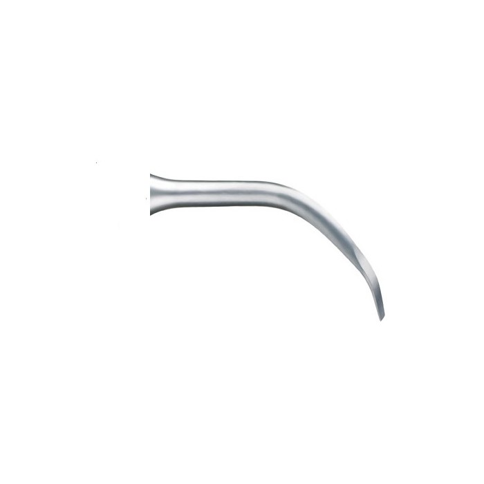 Insert Crown Extension BS6 - ACTEON