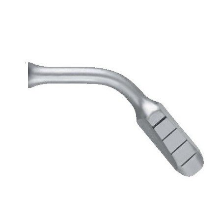 Insert Crest Splitting CS6 - ACTEON
