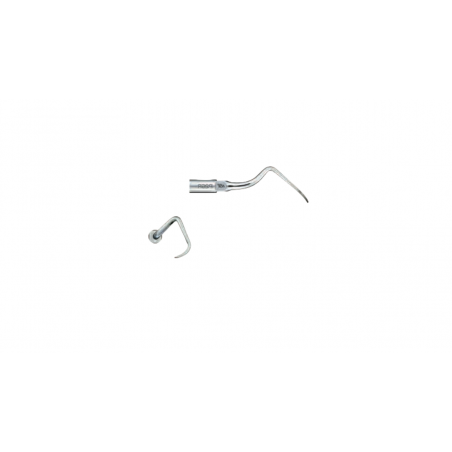 Insert P26R NSK