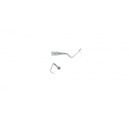 Insert  P26L NSK