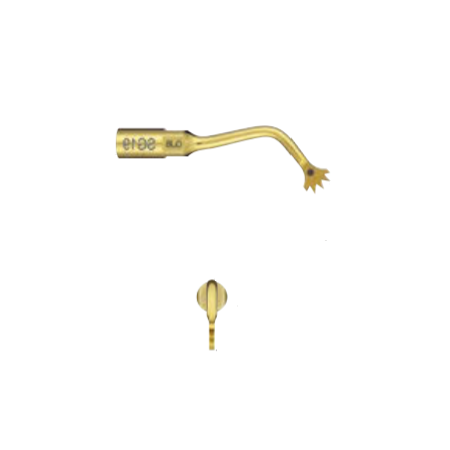 Insert VARIOSURG SG19 NSK