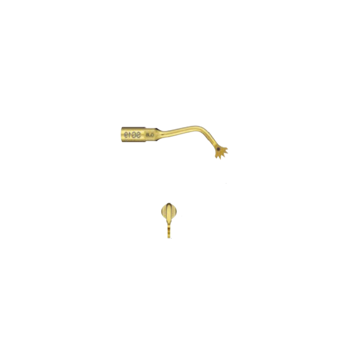 Insert VARIOSURG SG19 NSK