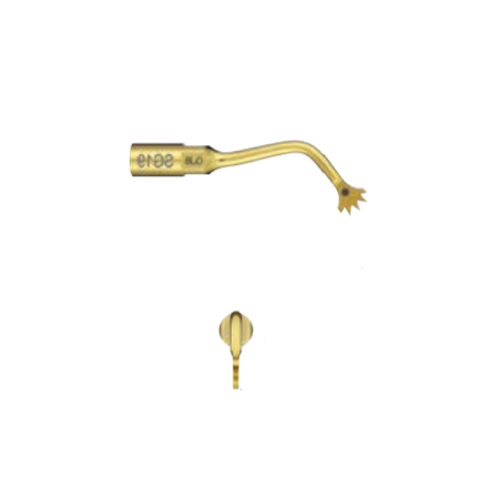 Insert VARIOSURG SG19 NSK