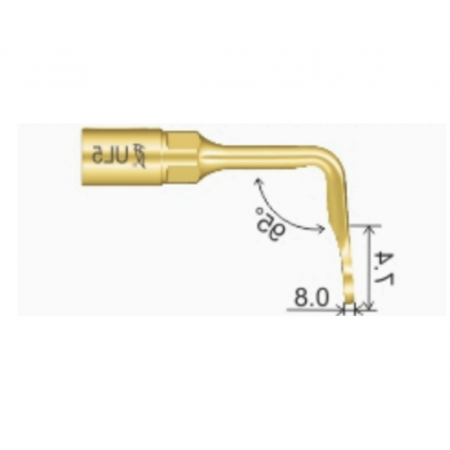 Insert UL5 Woodpecker