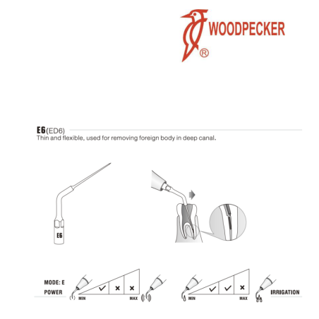 Insert ED6 - DTE WOODPECKER