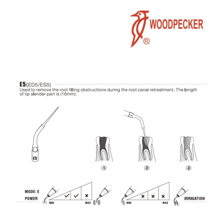 Insert ED5 - DTE WOODPECKER 2