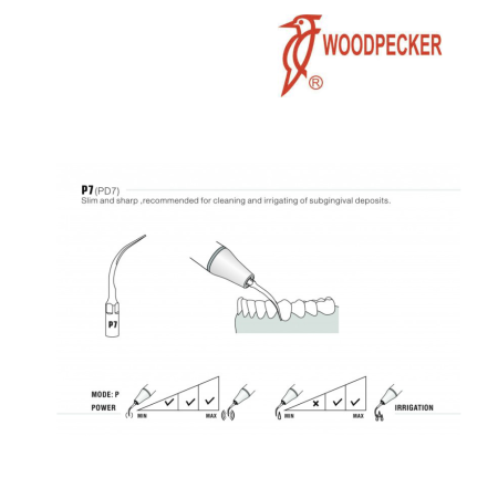 Insert PD7 - DTE WOODPECKER 2