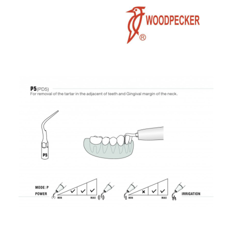 Insert PD5 - DTE WOODPECKER 2