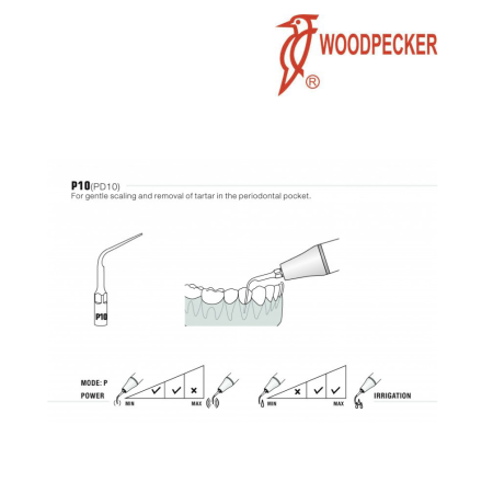 Insert PD10 - DTE WOODPECKER 2