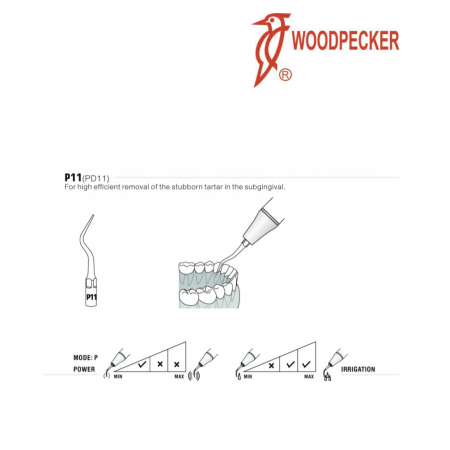 Insert PD11 - DTE WOODPECKER 2