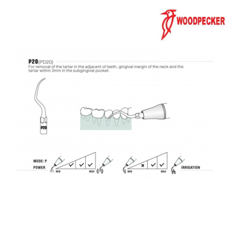 Insert P20 - WOODPECKER 2