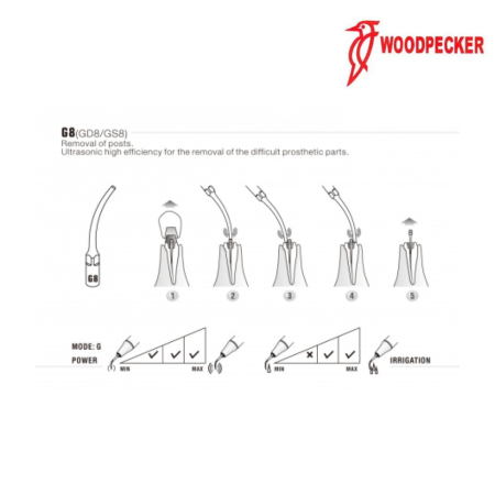 Insert GD8 - DTE WOODPECKER 2