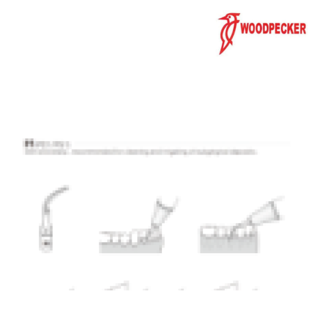 Insert PD1 - DTE WOODPECKER 2