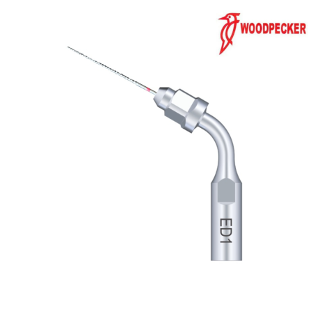 Insert ED1 - DTE WOODPECKER 2
