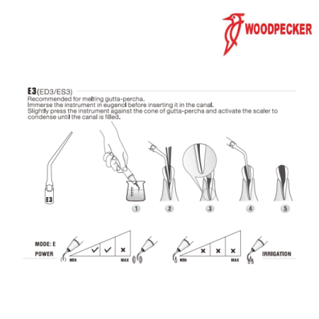 Insert ED3 - DTE WOODPECKER 2