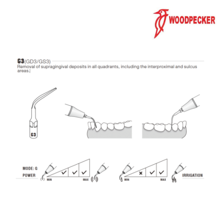 Insert GD3 - DTE WOODPECKER 2