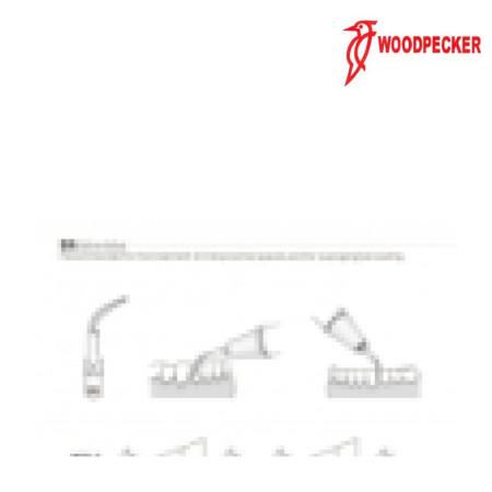 Insert GD4 - DTE WOODPECKER 2