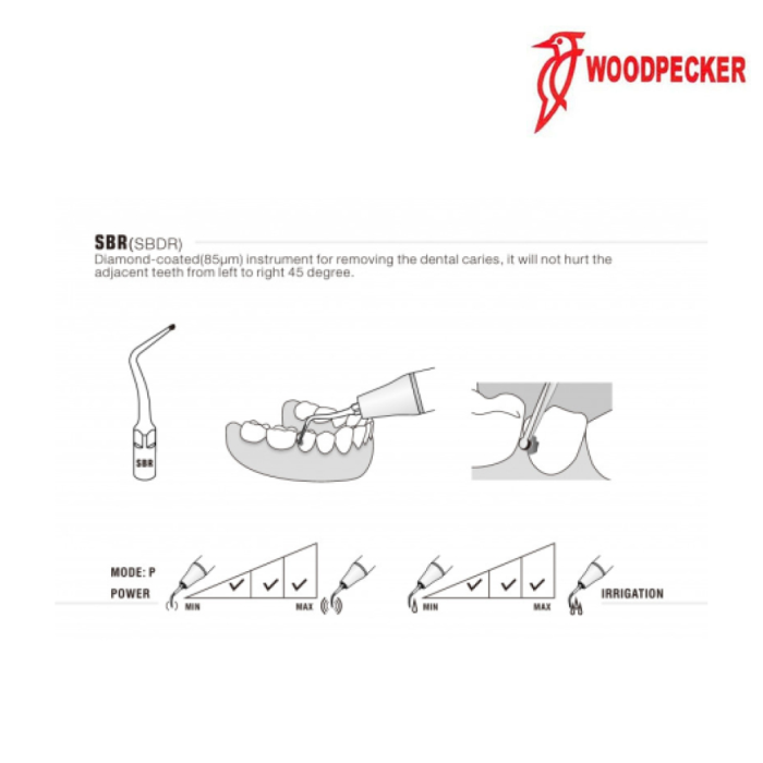 Insert P53R (PT3/PT5) - WOODPECKER