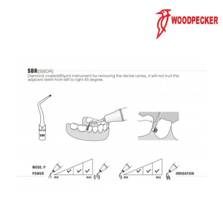 Insert P53R (PT3/PT5) - WOODPECKER