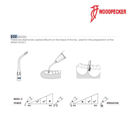 Insert GD32 - DTE WOODPECKER 2