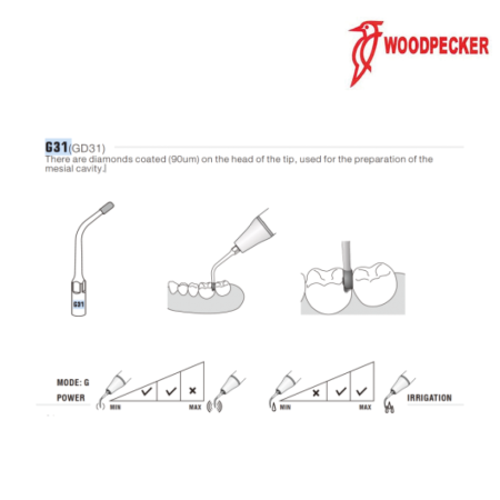 Insert GD31 - DTE WOODPECKER 2