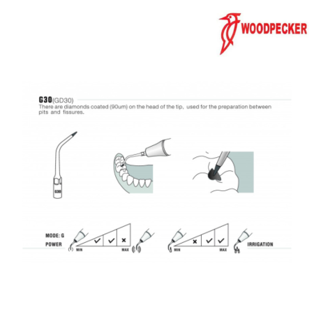 Insert GD30 - DTE WOODPECKER 2