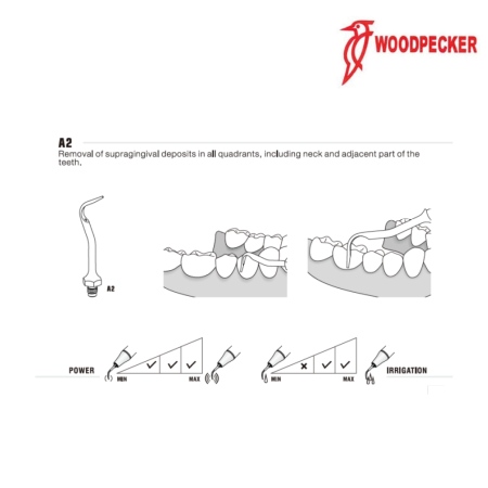 Insert A2 - WOODPECKER 2