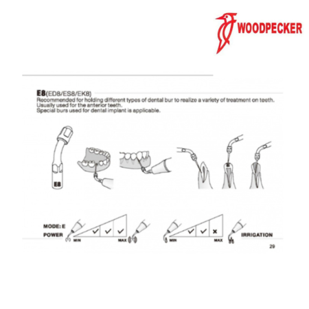 Insert ED8 - DTE WOODPECKER 2
