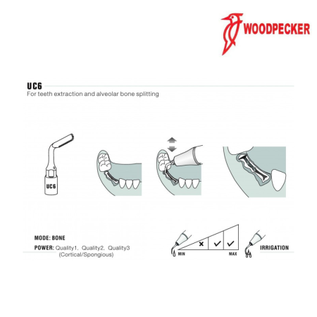 Insert UC6 - WOODPECKER 2
