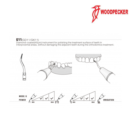 Insert GD11 - DTE WOODPECKER 2