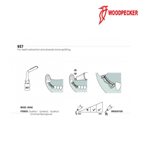 Insert UC7 - WOODPECKER 2