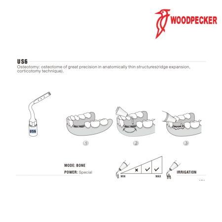 Insert US6 - WOODPECKER 2