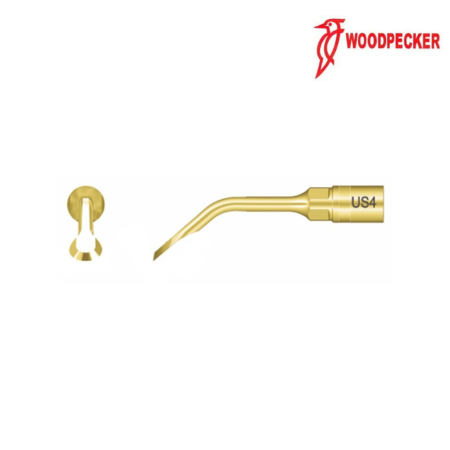 Insert US4 - WOODPECKER