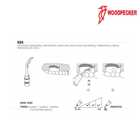 Insert US4 - WOODPECKER 2