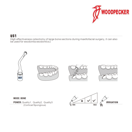 Insert US1 - WOODPECKER 2
