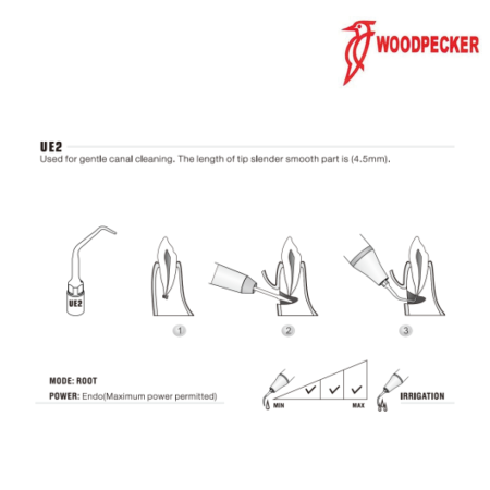 Insert UE2 - WOODPECKER 2
